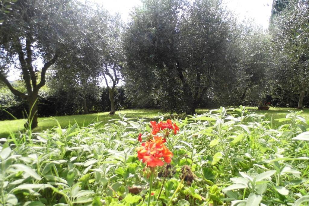 Appartement Campagna Toscana Presso Terme à Lari Extérieur photo